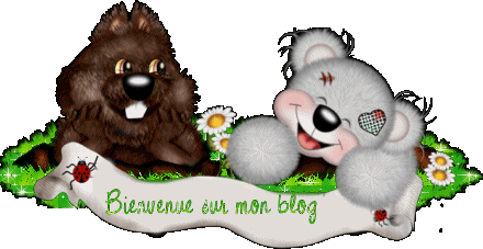Soyez les bienvenu(e)s sur mon blog !